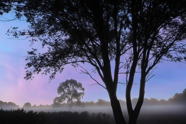 Sommarlandskap Vid Gryningen Sabo Meadow Dimma Med Siluett Träd Michigan — Stockfoto