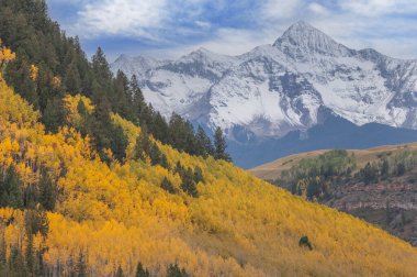Wilson Tepesi ve Aspens 'in sonbahar manzarası, San Juan Dağları, Colorado, ABD