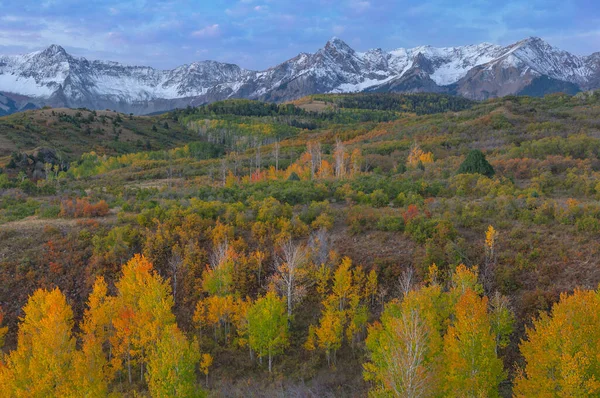 Herbstlandschaft Morgengrauen Dallas Divide San Juan Mountains Colorado Usa — Stockfoto