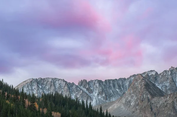 Lanskap Saat Fajar Dengan Aspen Dan Conifers Dari Pegunungan Elk — Stok Foto