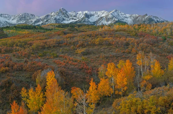 Herbstlandschaft Morgengrauen Dallas Divide San Juan Mountains Colorado Usa — Stockfoto