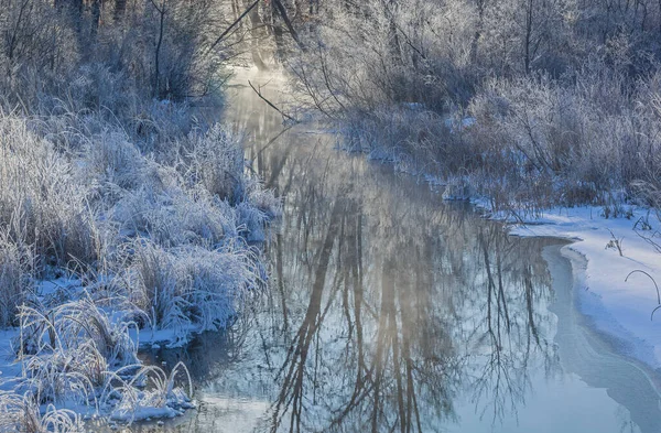 Zimowy Krajobraz Tamarack Creek Odbiciami Nieba Gołych Drzew Wschodzie Słońca — Zdjęcie stockowe