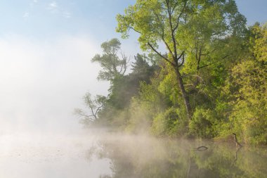 Güneşin doğuşuyla Whitford Gölü kıyılarının sisli bahar manzarası sakin sulardaki yansımalarla, Fort Custer State Park, Michigan, ABD