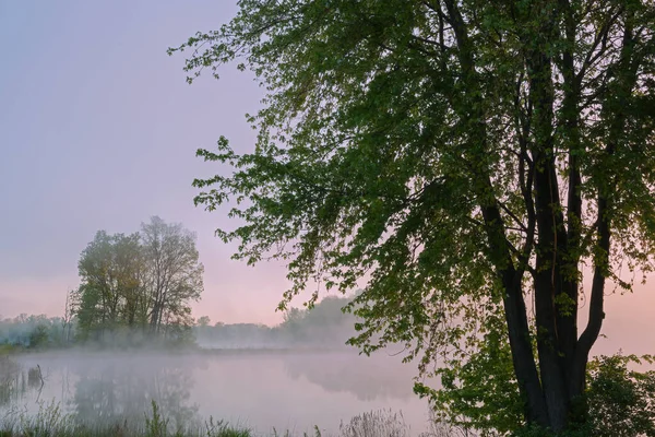 Paesaggio Primaverile All Alba Del Jackson Hole Lake Nella Nebbia — Foto Stock