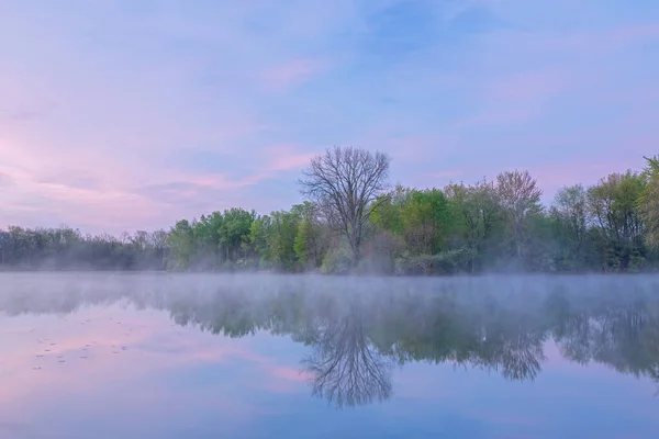 Spring Landscape Dawn Jackson Hole Lake Fog Reflections Calm Water — Stockfoto