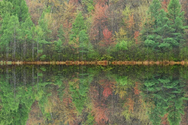 Landschaft Quellufer Des Mcdonald Lake Mit Blühenden Ahornen Und Spiegelnden — Stockfoto