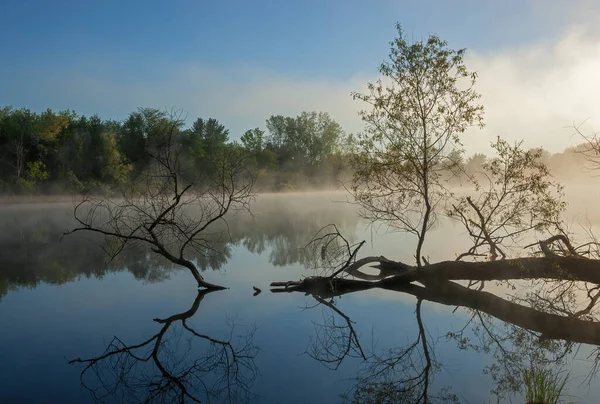 Nebelige Frühlingslandschaft Bei Sonnenaufgang Ufer Des Whitford Lake Mit Spiegelungen — Stockfoto
