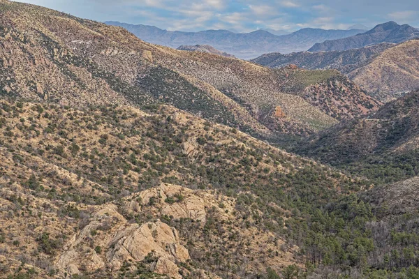 Vårlandskapet Chiricahua National Monument Arizona Usa — Stockfoto