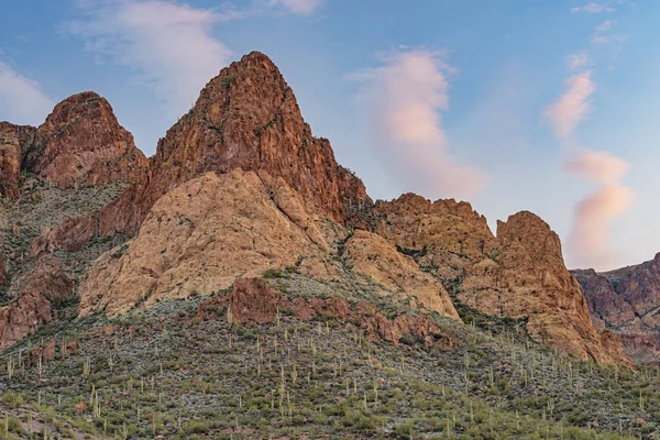 Voorjaarslandschap Bij Zonsopgang Van Het Bijgeloof Wilderness Area Apache Trail — Stockfoto