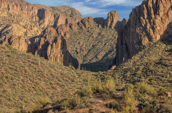 Весенний Пейзаж Области Суеверий Трейл Апач Национальный Лес Тонто Аризона — стоковое фото
