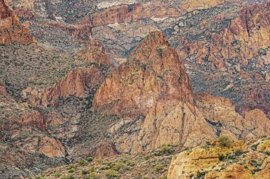 Batıl İnanç Yaban Alanı 'nın bahar manzarası Apaçi Patikası, Tonto Ulusal Ormanı, Arizona, ABD
