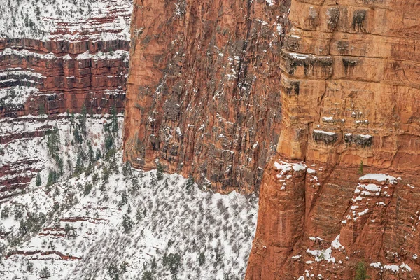 Winterlandschaft Einer Klippe Südrand Des Grand Canyon Mit Nadelbäumen Und — Stockfoto