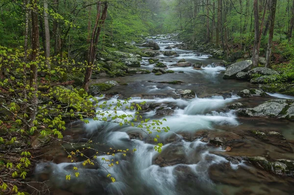 Jarní Krajina Big Creek Zachycena Pohybem Šmouhy Národní Park Great — Stock fotografie