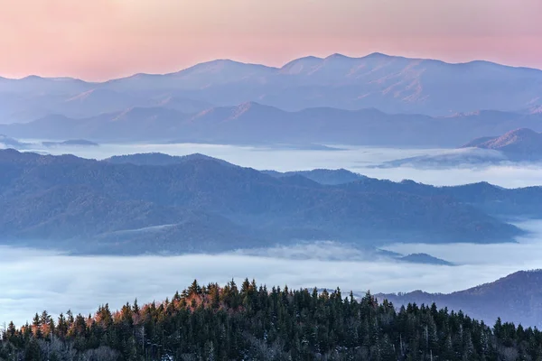 Herfst Landschap Bij Dageraad Van Clingman Dome Great Smoky Mountains — Stockfoto
