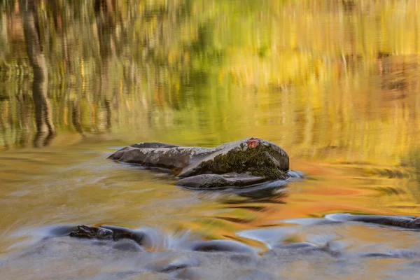 Autumn Landscape Little River Captured Motion Blur Illuminated Reflected Color Imagens De Bancos De Imagens