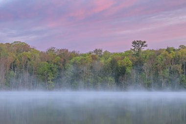 Foggy spring landscape at dawn at Pete's Lake with mirrored reflections in calm water, Hiawatha National Forest, Michigan's Upper Peninsula, USA clipart