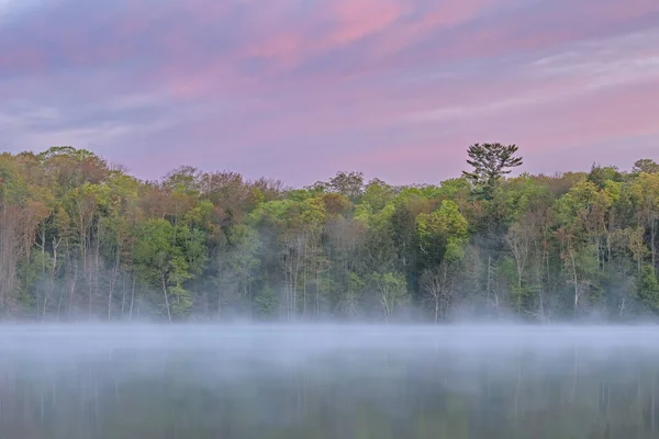 Foggy Våren Landskap Gryningen Vid Pete Lake Med Speglade Reflektioner — Stockfoto