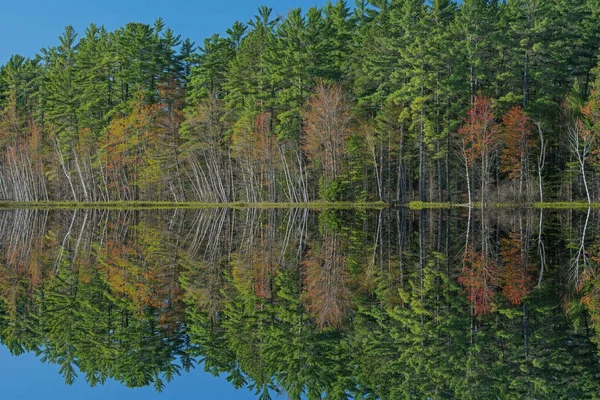 Paysage Printanier Rivage Lac Big Twin Avec Des Reflets Miroirs — Photo