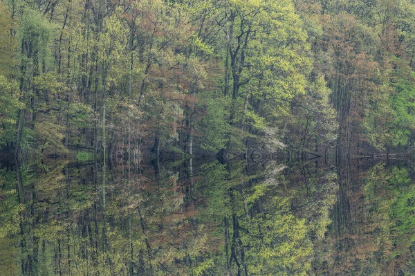 Voorjaar Landschap Van Kustlijn Van Warner Lake Met Spiegelende Reflecties — Stockfoto