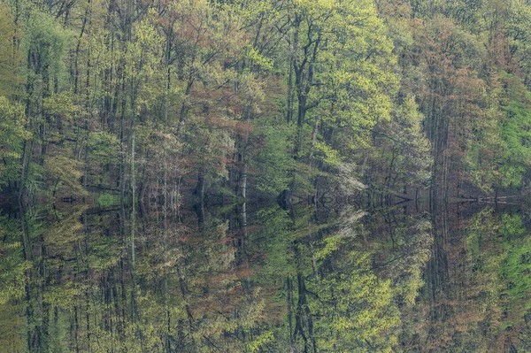 Paisagem Primavera Costa Warner Lake Com Reflexos Espelhados Águas Calmas — Fotografia de Stock