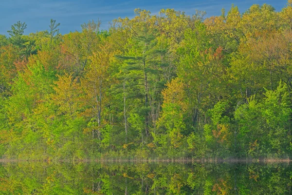 Frühlingslandschaft Bei Sonnenaufgang Ufer Des Long Lake Mit Spiegelungen Ruhigem — Stockfoto