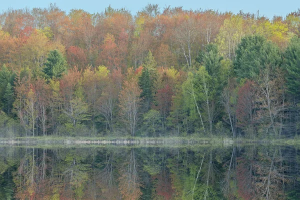 Voorjaarslandschap Van Kustlijn Van Doe Lake Met Spiegelende Reflecties Rustig — Stockfoto