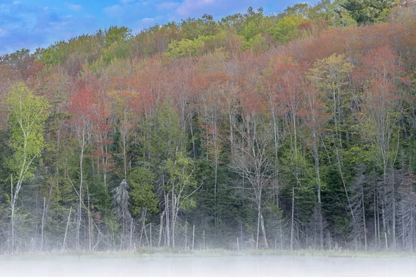 Paisaje Primaveral Amanecer Del Lago Scout Niebla Bosque Nacional Hiawatha —  Fotos de Stock