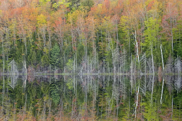 Frühlingslandschaft Ufer Des Scout Lake Mit Spiegelungen Ruhigem Wasser Hiawatha — Stockfoto