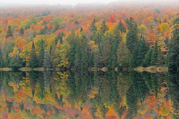 Foggy Autumn Landscape Shoreline Alberta Lake Mirrored Reflections Calm Water — Stock Photo, Image