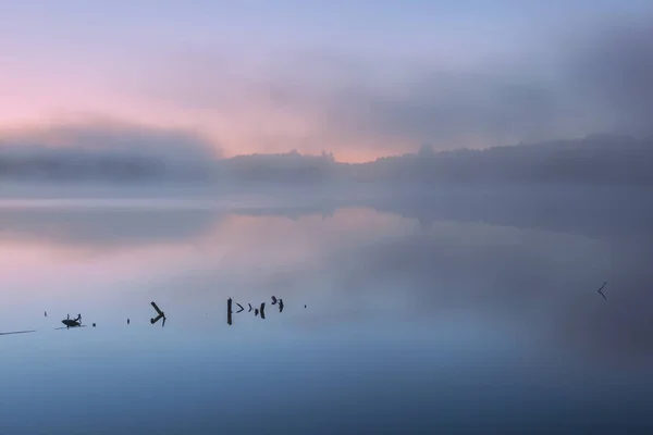 Τοπίο Στην Αυγή Της Ακτογραμμής Της Λίμνης Pete Στην Ομίχλη — Φωτογραφία Αρχείου