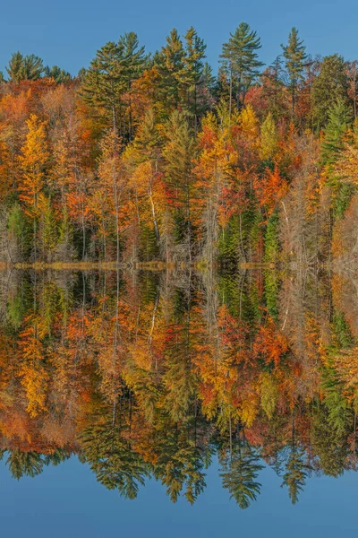 Herfst Landschap Van Scout Lake Met Spiegelende Reflecties Van Kleurrijke — Stockfoto