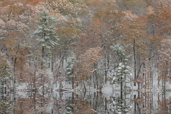 Autumn Landscape Shoreline Hall Lake Flocked Snow Mirrored Reflections Calm — Stock Fotó