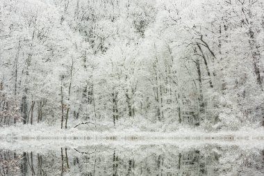 Warner Gölü 'nün kış manzarası sakin sularda yansıyan yansımalarla dolup taştı.