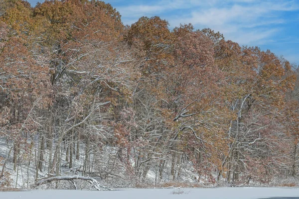 Podzimní Krajina Sněhové Vločky Pralesa Warner Lake Michigan Usa — Stock fotografie
