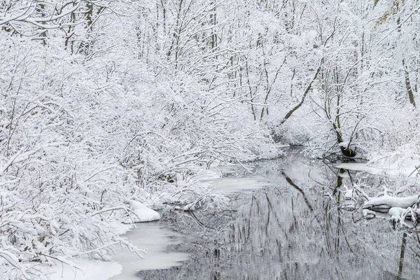 Winter Creek Framed Snow Flocked Trees Michigan Usa — Stock Photo, Image
