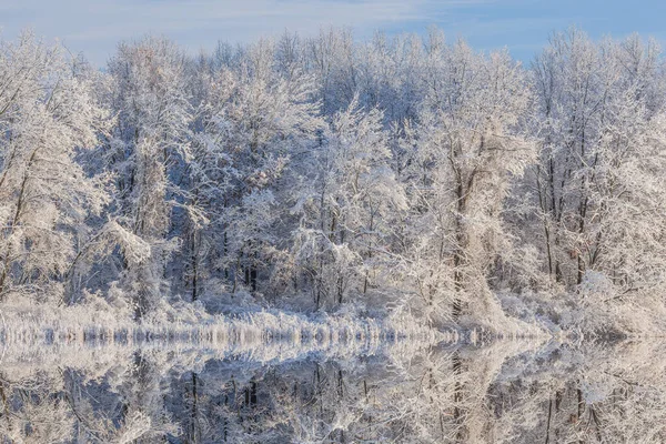 美国密歇根州卡斯特堡州立公园 杰克森洞湖畔雪群的冬季景观 平静的水中映照出了自己的倒影 — 图库照片