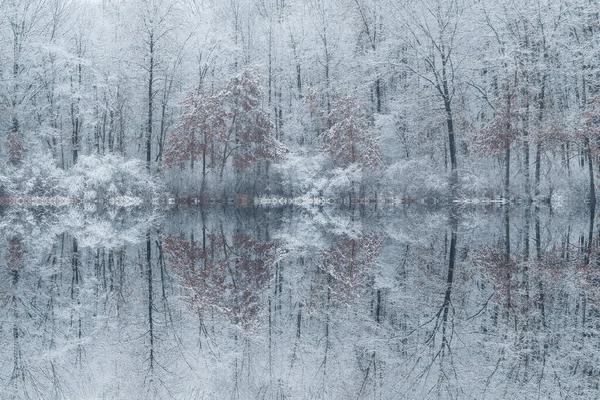 Winter Landscape Snow Flocked Shoreline Jackson Hole Lake Mirrored Reflections — Stock Photo, Image