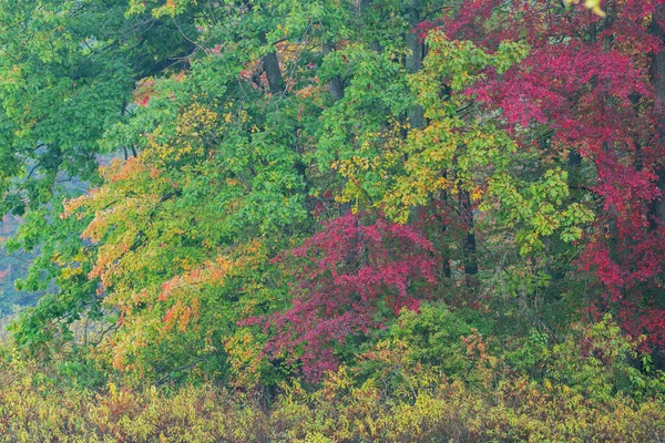 Autumn Landscape Shoreline Mud Lake Michigan Usa — Fotografia de Stock