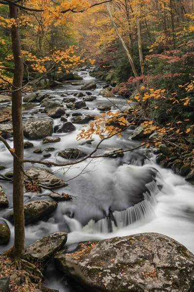 Φθινόπωρο Καταρράκτη Στο Little River Πλαισιώνεται Από Φύλλωμα Tremont Area — Φωτογραφία Αρχείου
