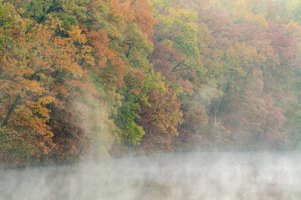 Kartal Gölü Kıyılarının Şafağında Sisli Sonbahar Manzarası Fort Custer State — Stok fotoğraf