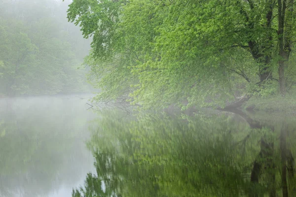 Spring Landscape Shoreline Kalamazoo River Fog Michigan Usa — Zdjęcie stockowe