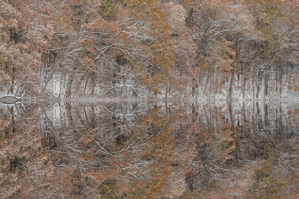 Autumn Landscape Snow Flocked Shoreline Warner Lake Mirrored Reflections Calm — Zdjęcie stockowe
