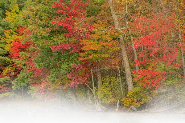 Ομιχλώδες Τοπίο Φθινόπωρο Της Ακτογραμμής Του Hall Lake Σκαρφαλωμένο Μεγάλο — Φωτογραφία Αρχείου