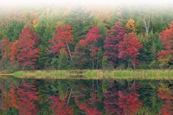 Foggy Autumn Landscape Shoreline Doe Lake Mirrored Reflections Calm Water — Stock Photo, Image