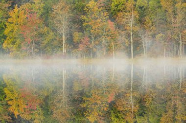 Derin Göl kıyılarının sisli sonbahar manzarası sakin sularda yansıyan yansımalarla, Yankee Springs State Park, Michigan, Usa