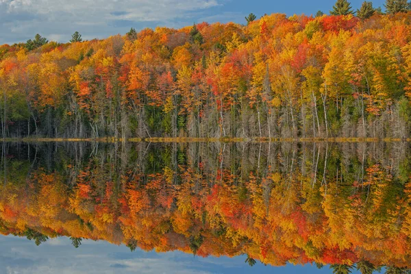 Autumn Landscape Scout Lake Reflections Colorful Foliage Calm Water Hiawatha — Stock Photo, Image