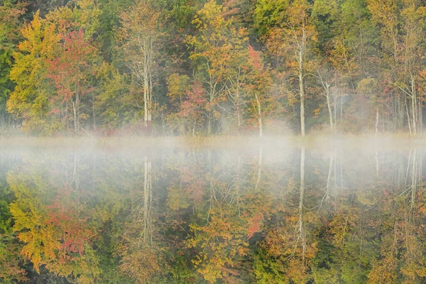 Foggy Autumn Landscape Shoreline Deep Lake Mirrored Reflections Calm Water — Stock Photo, Image