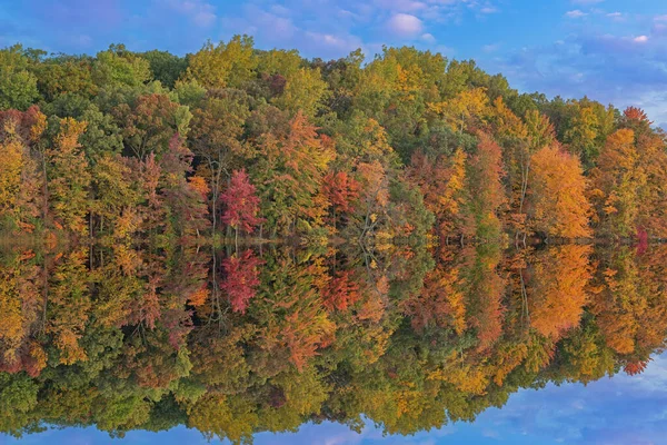 美国密歇根州扬基泉州立公园 长湖海岸线上的秋景 平静的水中映照出了自己的倒影 — 图库照片