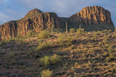Gündoğumunda Batıl İnanç Yabanı 'nın bahar manzarası, Apaçi Patikası, Tonto Ulusal Ormanı, Arizona, ABD