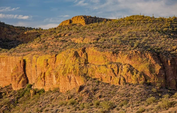 Paysage Printanier Superstition Wilderness Area Près Coucher Soleil Apache Trail — Photo